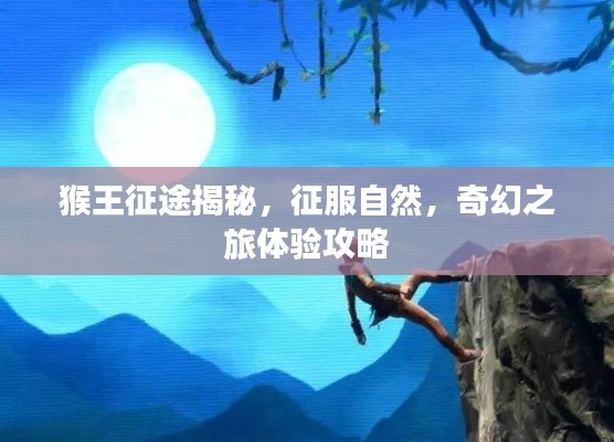 猴王征途揭秘,征服自然,奇幻之旅体验攻略