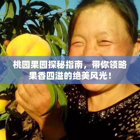 桃园果园探秘指南,带你领略果香四溢的绝美风光!