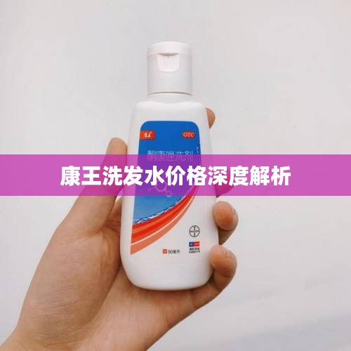 康王洗发水价格深度解析