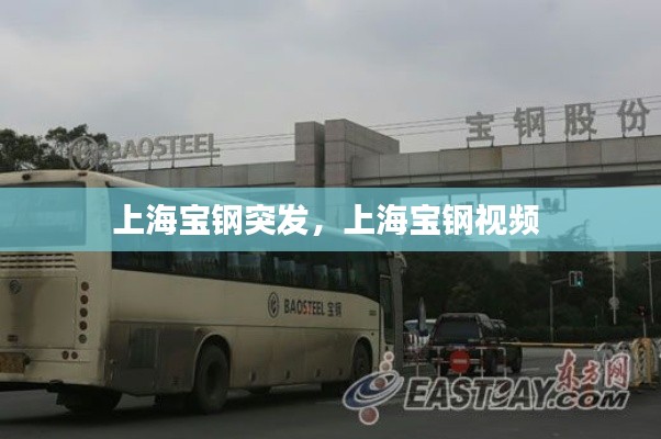 上海宝钢突发，上海宝钢视频 