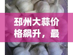 邳州大蒜价格飙升,最新行情揭秘!