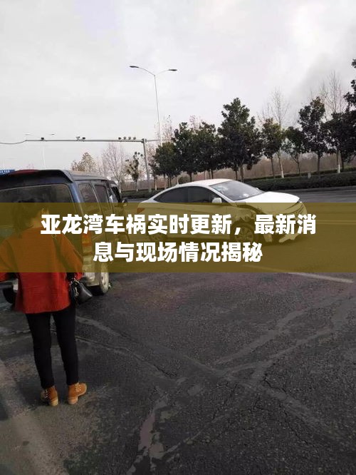 亚龙湾车祸实时更新,最新消息与现场情况揭秘