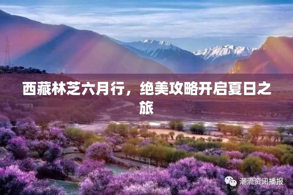 落土飞岩 第2页