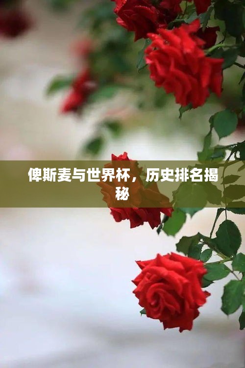 俾斯麦与世界杯,历史排名揭秘