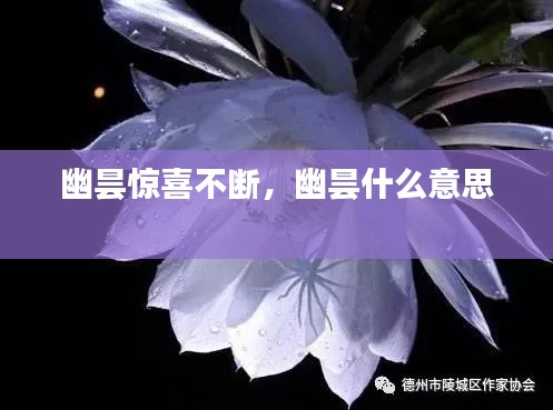 幽昙惊喜不断,幽昙什么意思