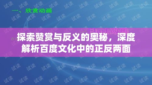 探索赞赏与反义的奥秘,深度解析百度文化中的正反两面