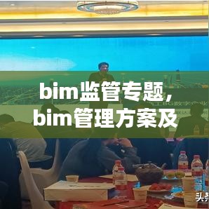 bim监管专题,bim管理方案及措施