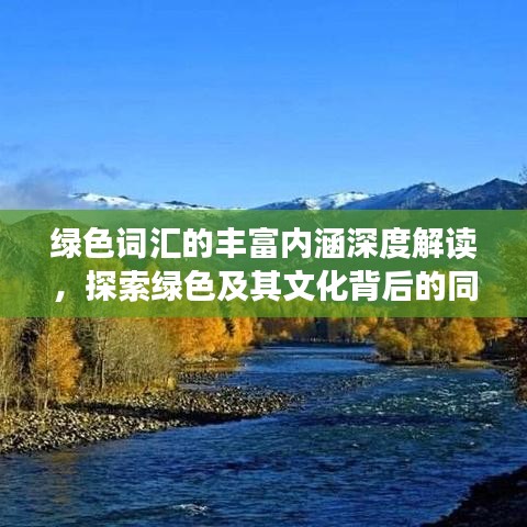 绿色词汇的丰富内涵深度解读,探索绿色及其文化背后的同意字与丰富内涵