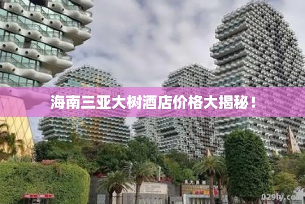 海南三亚大树酒店价格大揭秘!