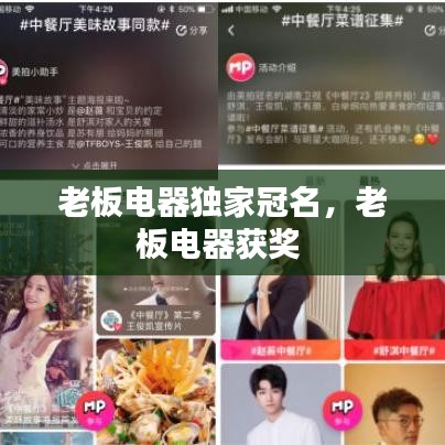 老板电器独家冠名,老板电器获奖