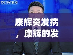 康辉突发病,康辉的发言