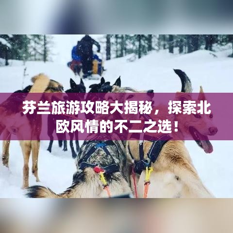 芬兰旅游攻略大揭秘,探索北欧风情的不二之选!