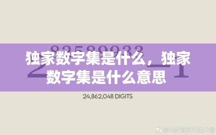 独家数字集是什么,独家数字集是什么意思