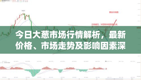 今日大葱市场行情解析,最新价格、市场走势及影响因素深度剖析