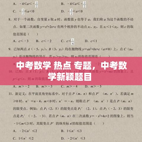中考数学 热点 专题,中考数学新颖题目