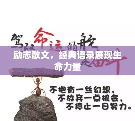 励志散文,经典语录展现生命力量