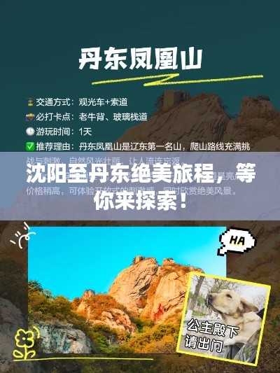 沈阳至丹东绝美旅程,等你来探索!