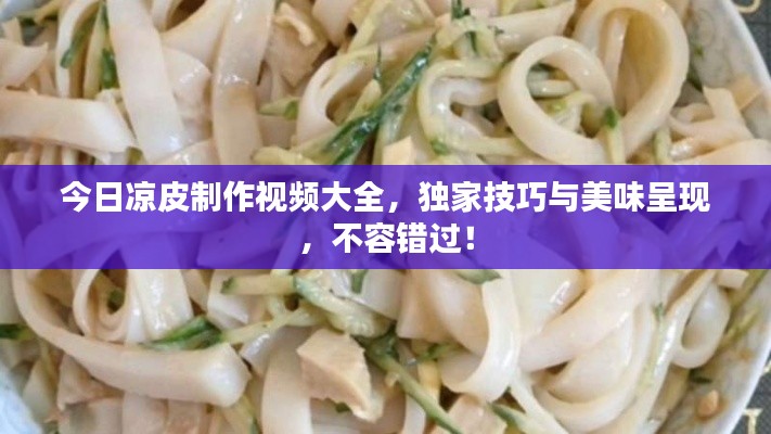 今日凉皮制作视频大全,独家技巧与美味呈现,不容错过!
