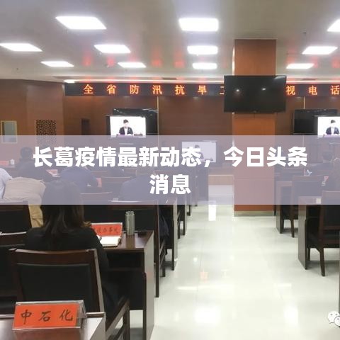 长葛疫情最新动态,今日头条消息